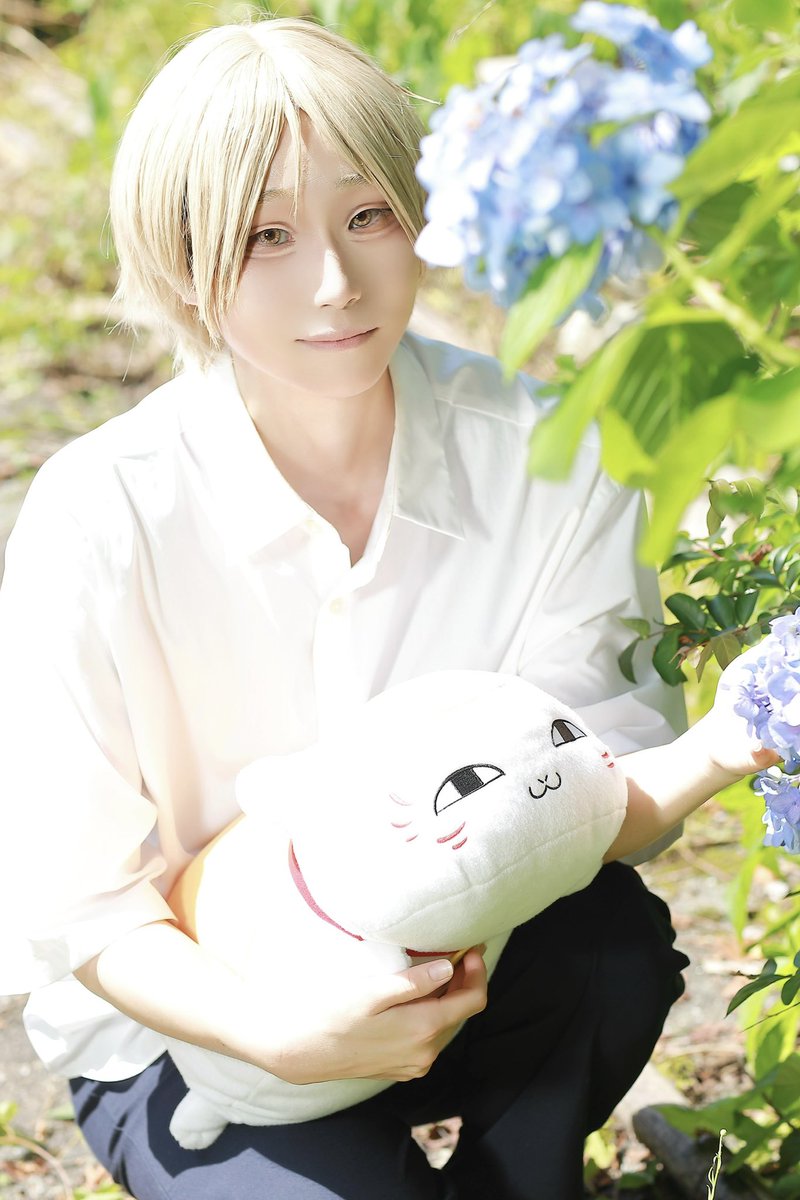 紫陽花と夏目と発光ﾆｬﾝｺ。