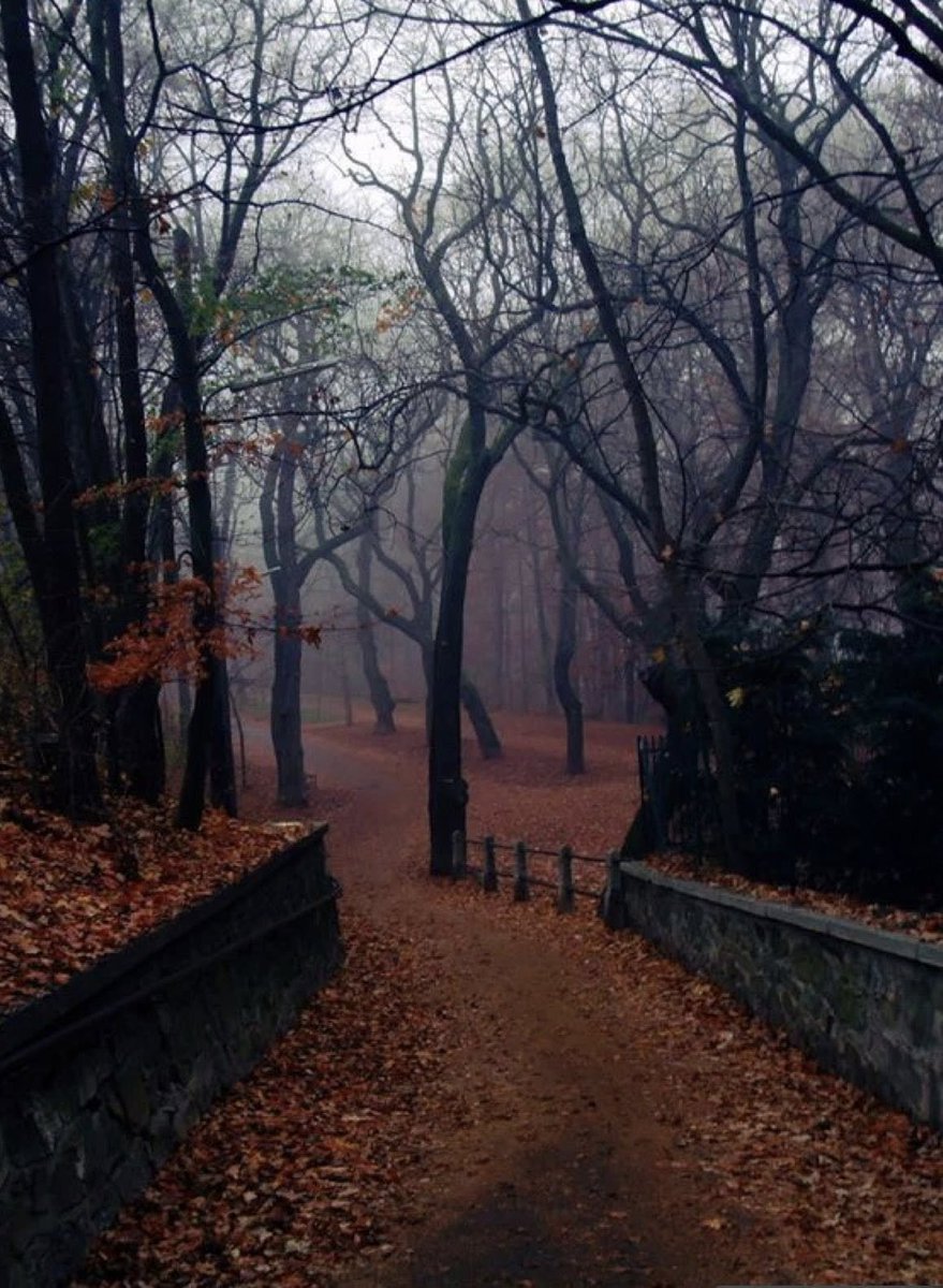 This way to autumn 🍁