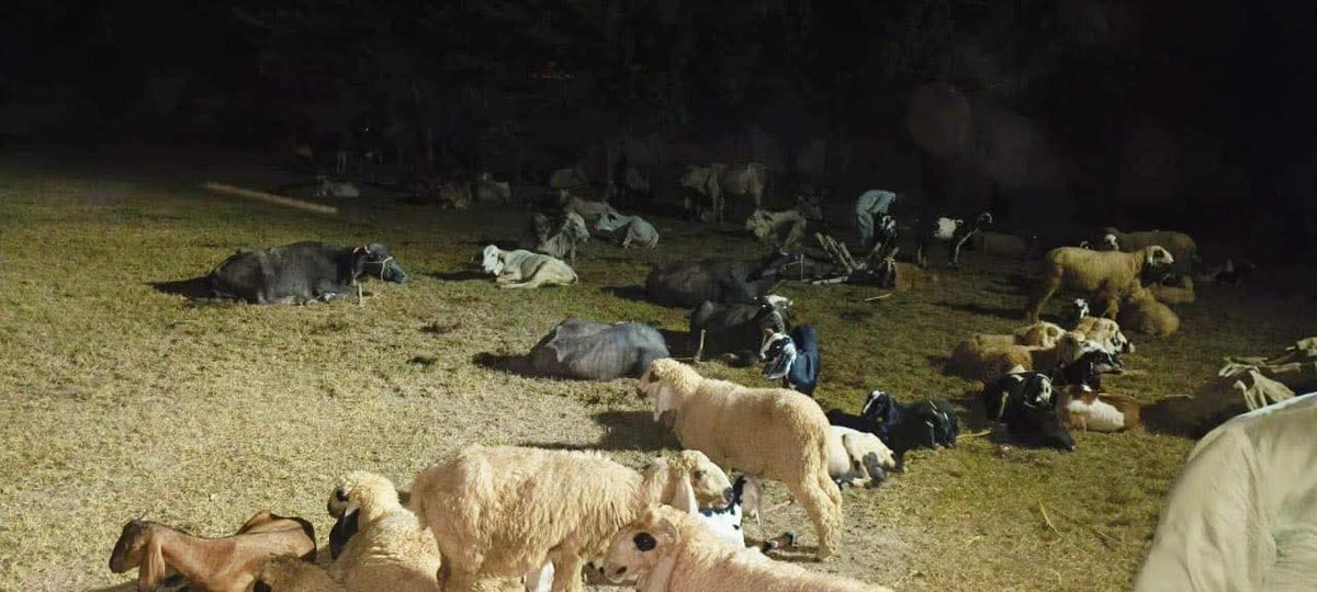 Additional IGP South Punjab tweet media