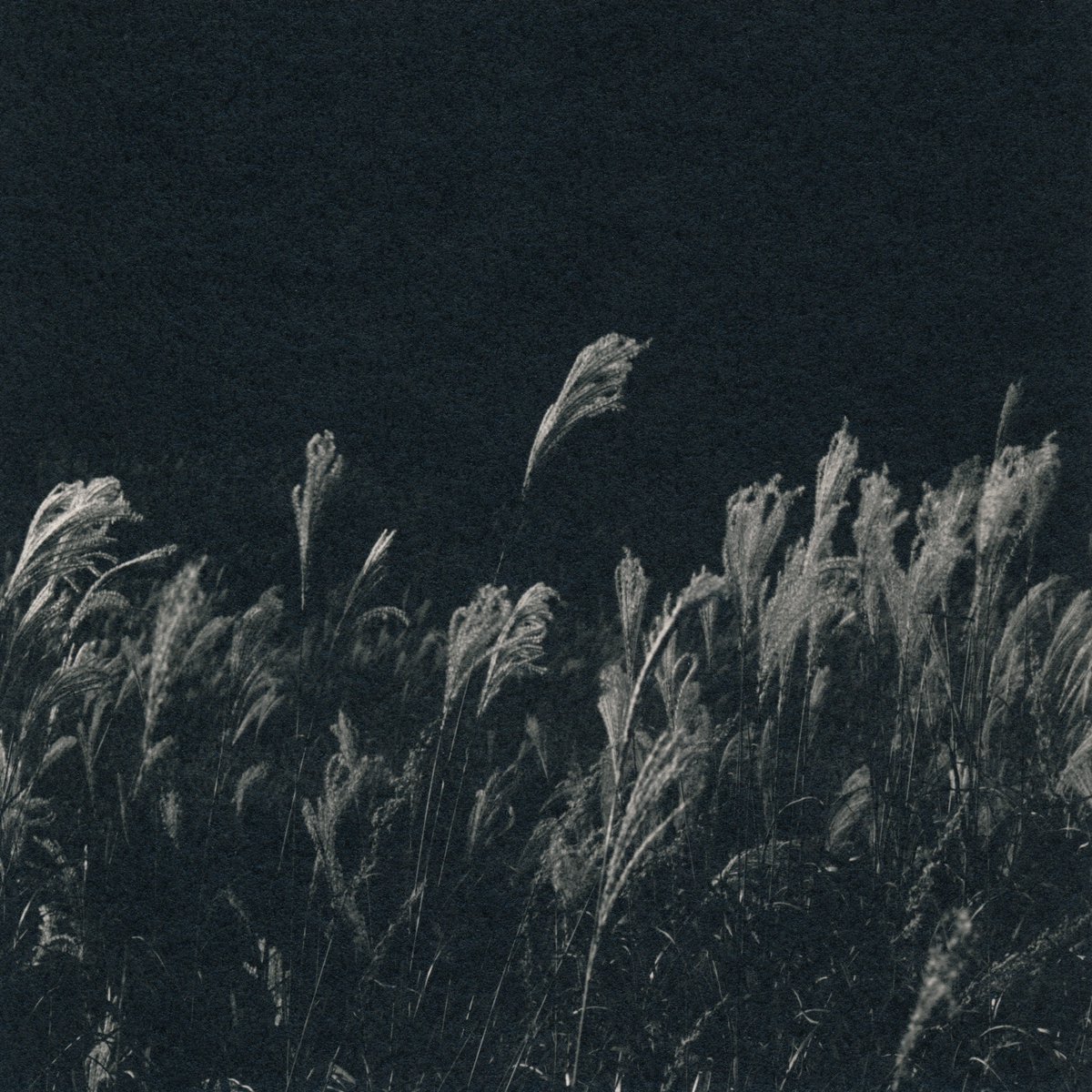 eto_silversalt's tweet image. 郷愁と孤独、今週末より展示開始です