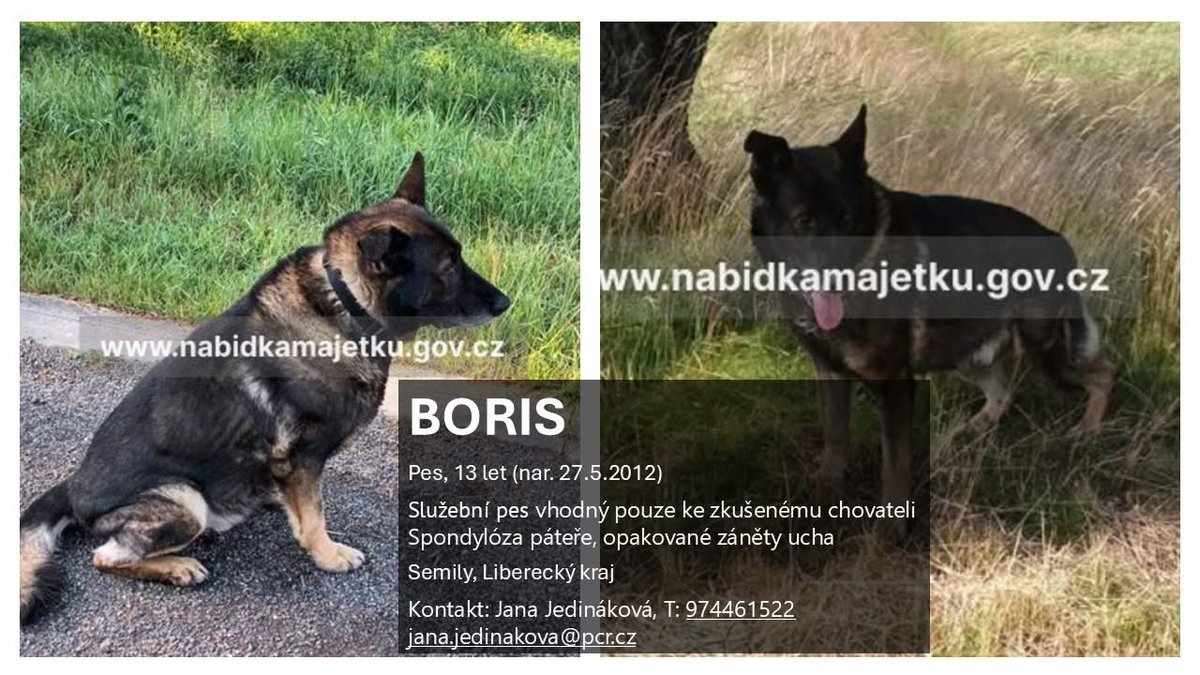 Pupkatí dědci jdou do hajzlu s výsluhama a služební psy odhoděj jako kus zkaženýho masa… fakt je lepší ségra v bordelu než brácha u fízlů. 

Chudák malej. Bohužel na tohle nemám prostor ani zkušenosti. Najde se někdo?