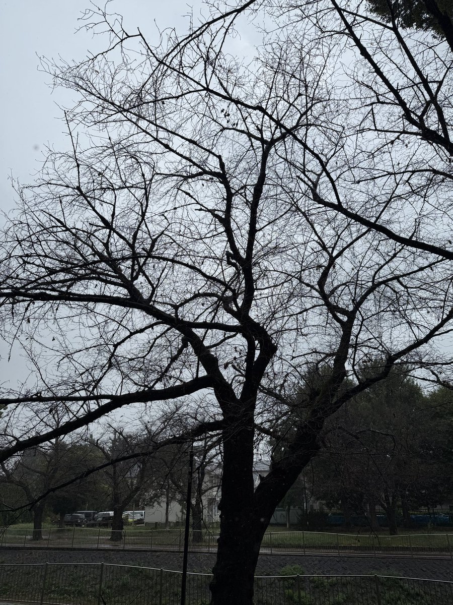 James Reynolds tweet media