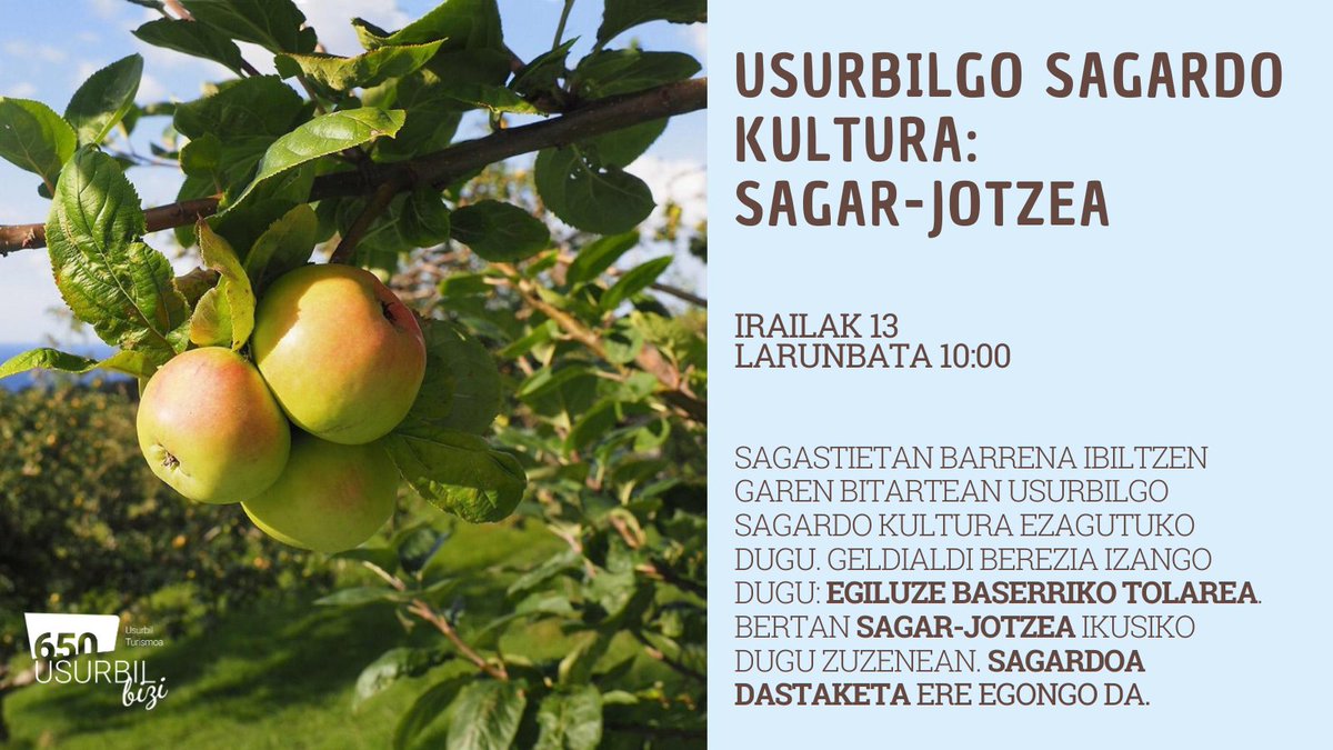 🍏Bazatoz gurekin Egiluze baserrira sagar-jotzea zuzenean ikustera?
Irailaren 13an Usurbilgo Sagardo Kultura bisita gidatua antolatu dugu. Sagastietan barrena ibili ondoren sagardo dastaketa egingo dugu hamaiketakoarekin.

Izen-ematea 📲650usurbilbizi.eus