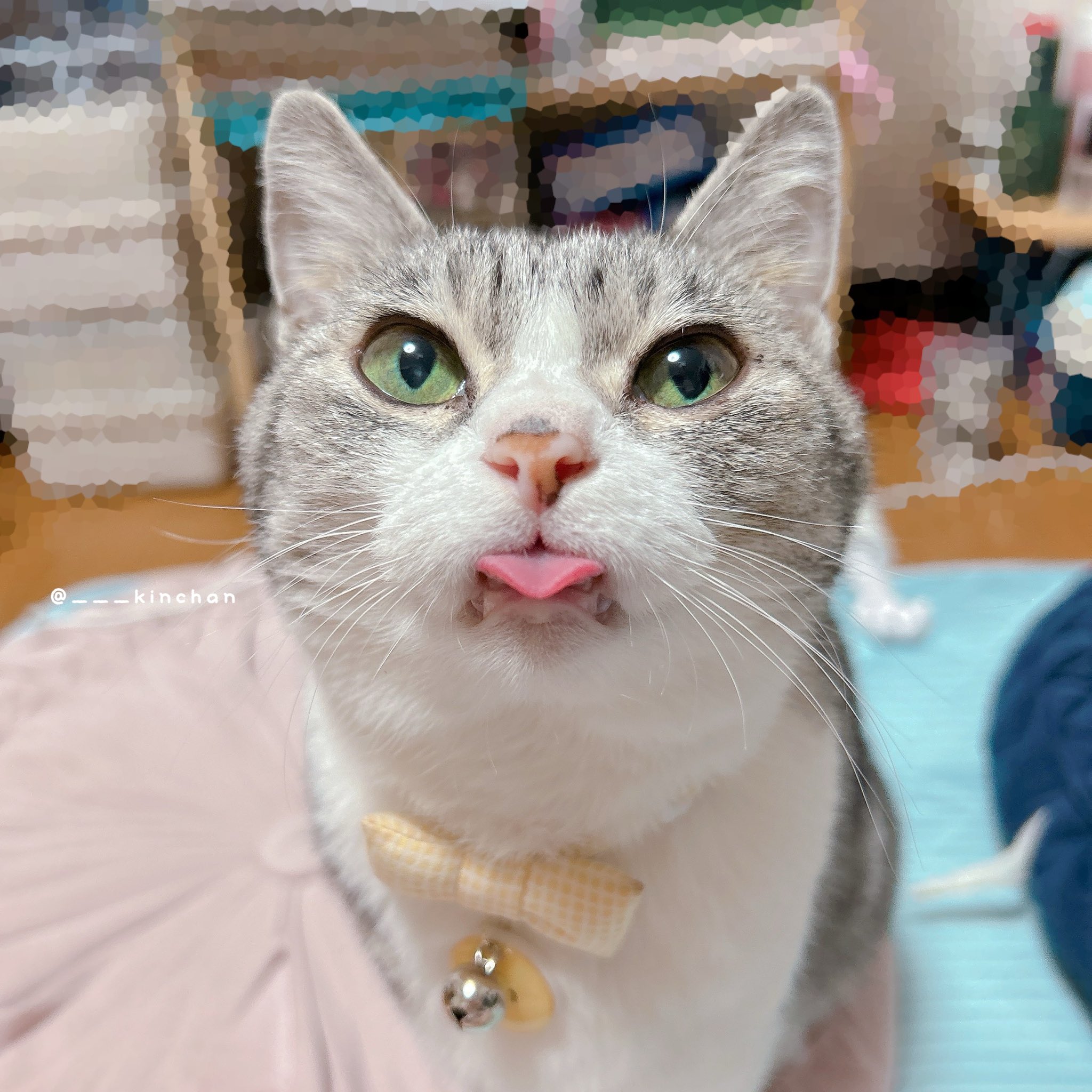 きんちゃん ケンちゃん C.J.MART / Kamen Rider ZX(Juji Shuriken Ver