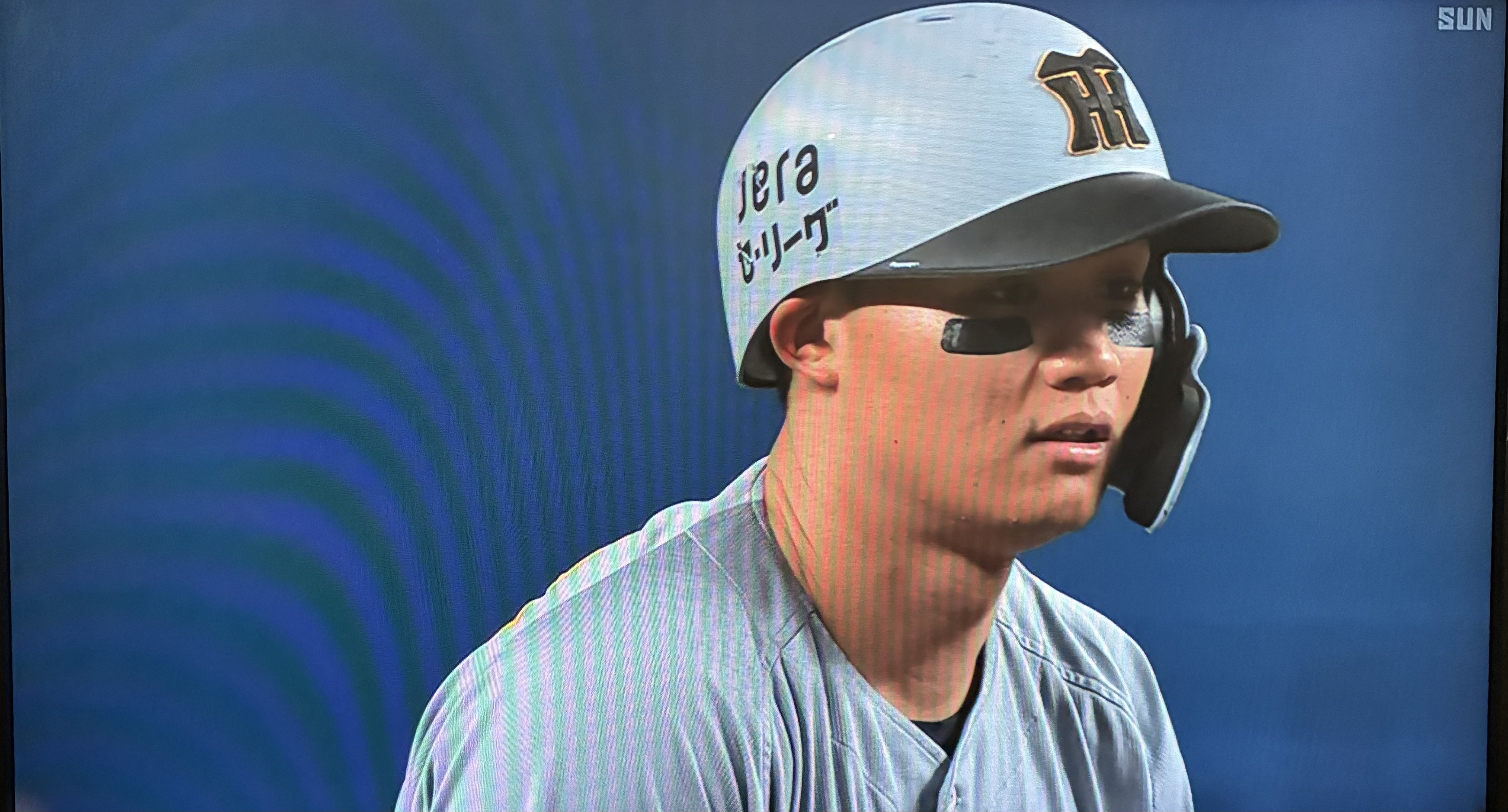 みいちゃんページ 935995_tamahiyo.jpg