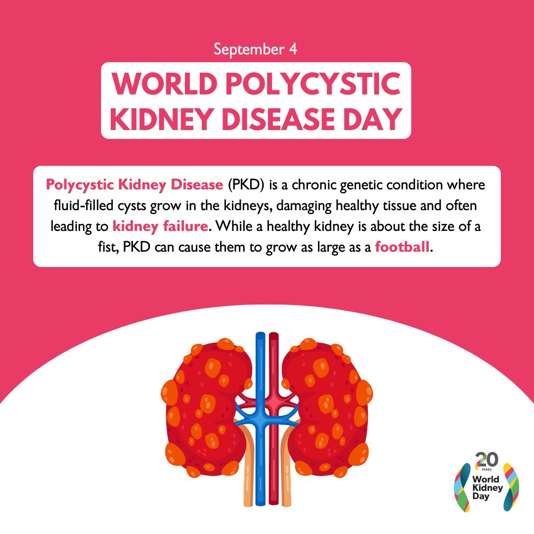 World Kidney Day tweet media