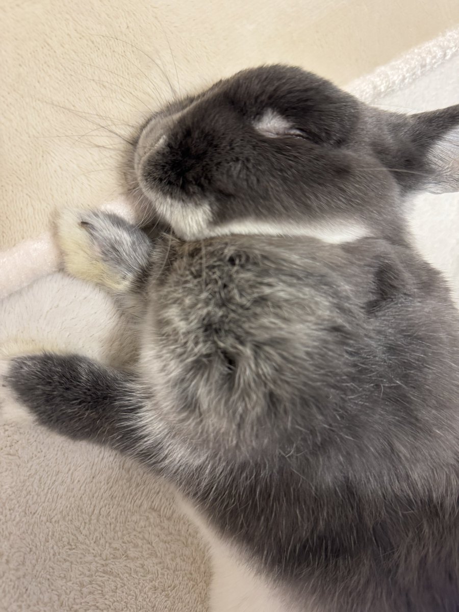 はなが熟睡しておりますので。