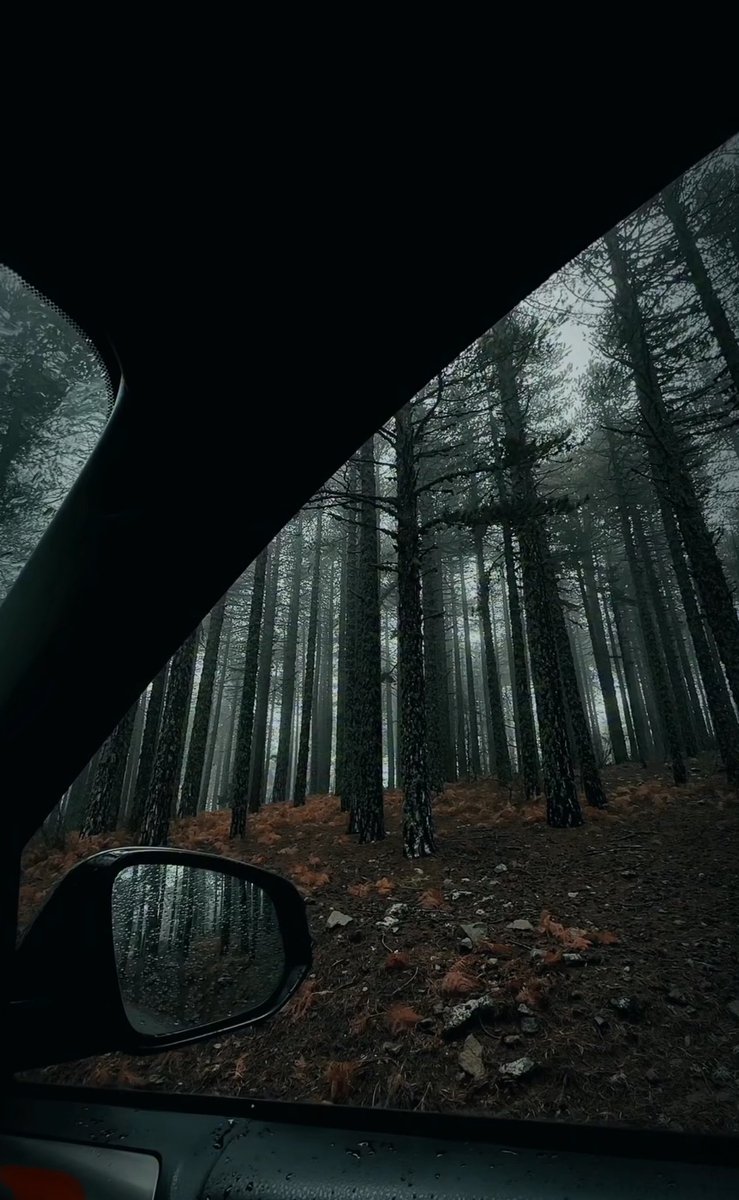 Намуун байгаль…🌏💚