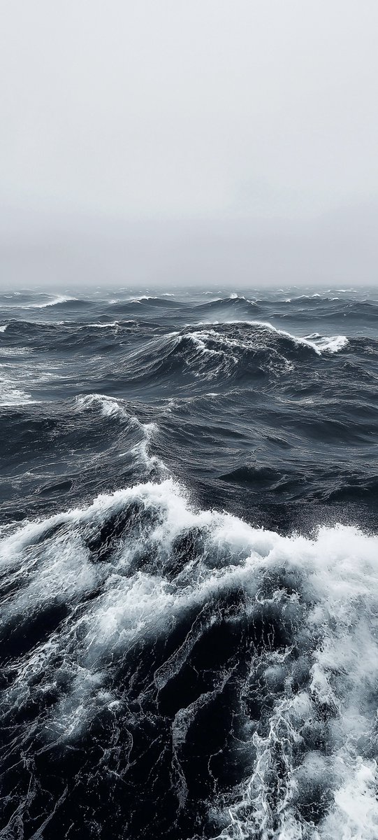 🌊