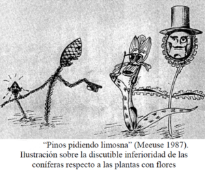 penasmeneras's tweet photo. Resulta cansino volver a leer tanto post y oir a tanto "experto" denigrando a "los pinos", acusándolos de  no ser autóctonos, de no formar verdaderos bosques y de ser causantes y propagadores de incendios. Asi que me he animado a preparar este hilo sobre pinares ibéricos (1/n). https://t.co/SBaNxC0d4r