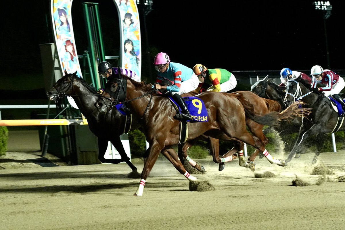 爽やか馬場 出品 今日のメインレース 重賞『サマーチャンピオン』は、ヤマニンチェルキ