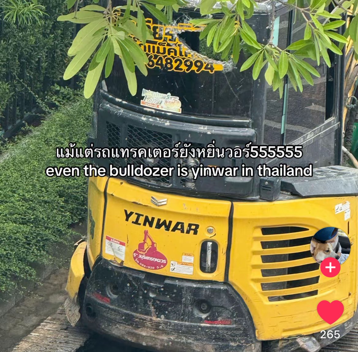 TTT09174's tweet photo. #หยิ่นวอร์  ทำอะไรคนไทย https://t.co/HfcjN0lqna