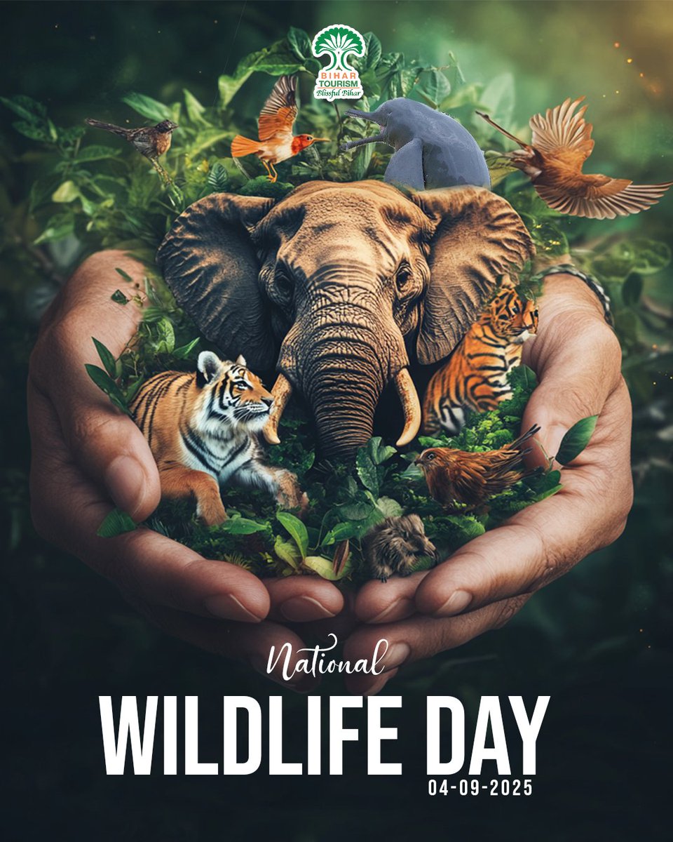 TourismBiharGov's tweet photo. Bihar is home to nature’s untamed beauty. This National Wildlife Day, explore the wild side of Bihar!
#NationalWildlifeDay #BiharTourism #ExploreBihar #WildlifeBihar #IncredibleIndia #UnseenBihar #NatureLovers #blissfulbihar #bihar #exploremore #viralpost
@tourismgoi @MLARajuSingh @singh_loke34264 @incredibleindia