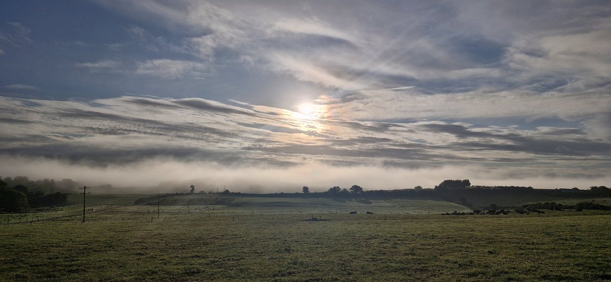 A bit of fog to start the day in <a href="/DurrowLaois/">Durrow Laois Ireland</a>