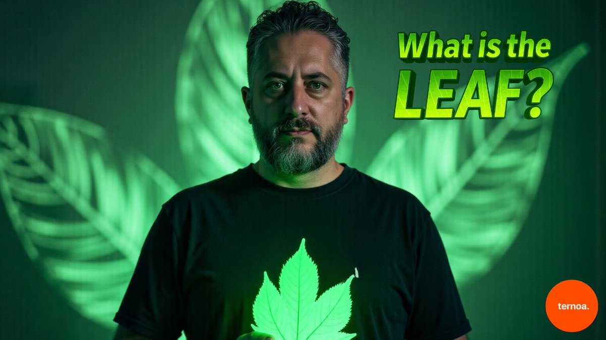 Ternoa_'s tweet image. Ever wondered how your yield is optimized on Ternoa?
Meet LEAF 🌿 — powered by @MorphoLabs and @0xPolygon VaultBridge.
Explainer here 🎥
youtu.be/ntV40AZ8uTA