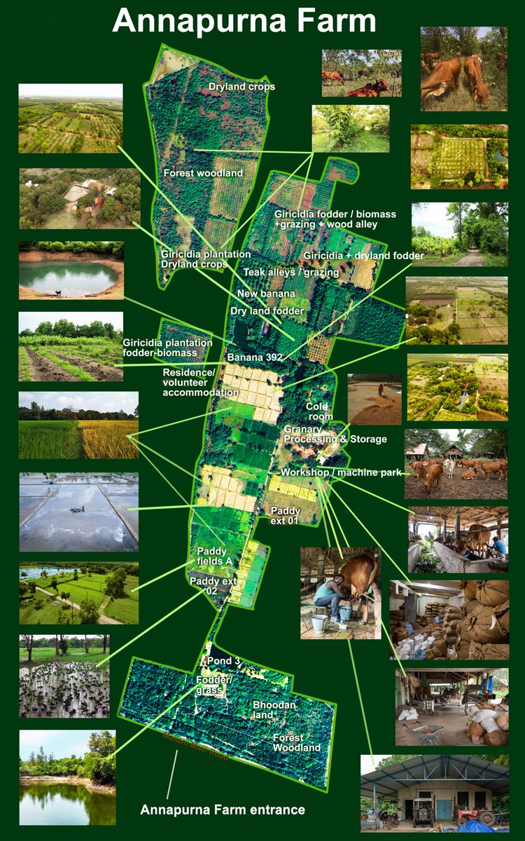 A thriving food forest is under grave threat. This isn't just a local issue; it sets a dangerous precedent for land allocations favoring development over sustainability. Please sign the petition to save it, and share further: change.org/p/save-annapur…