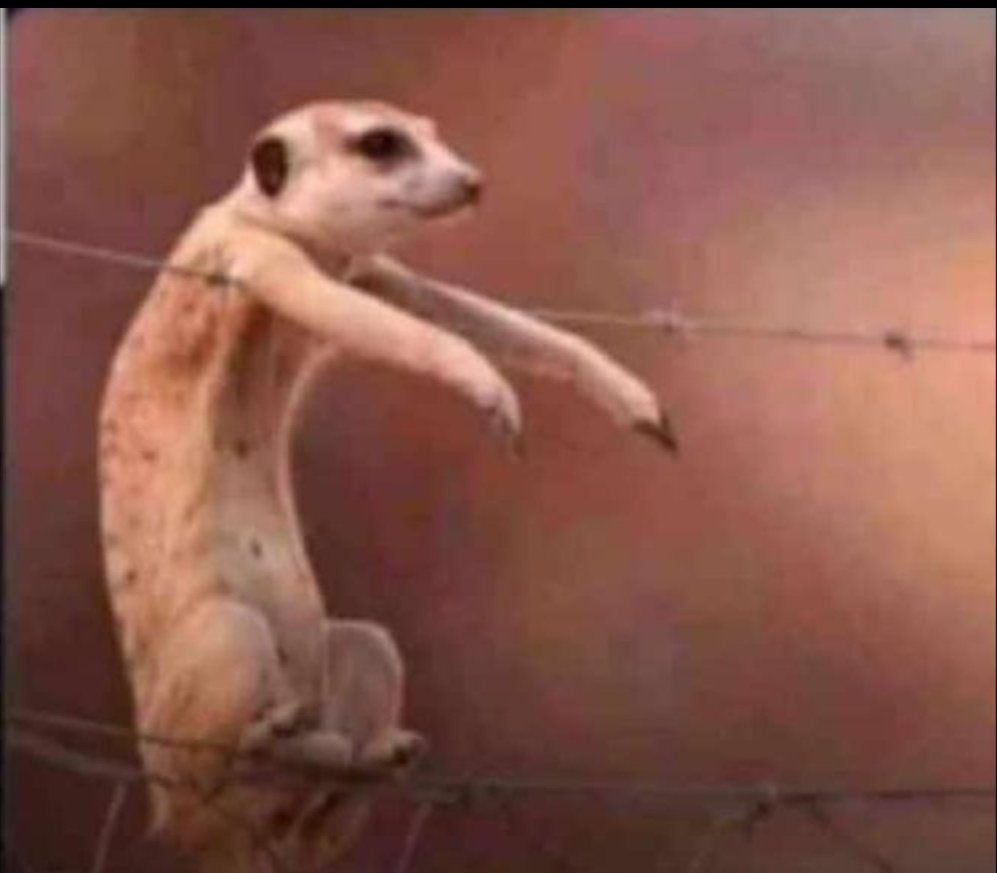 M beginning to realise why makerere chose for me bachelors in fishing n designe instead of civil engineering 🫤🫤