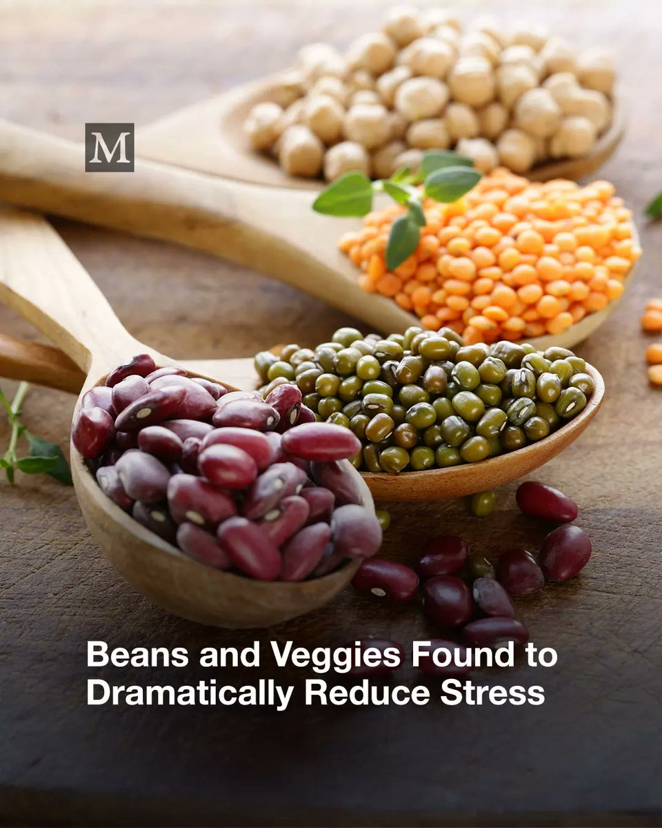Pulses like beans, lentils, and chickpeas may help reduce stress and boost mental well-being. By supporting gut health, these nutrient-dense foods play a vital role in regulating mood and stress hormones.