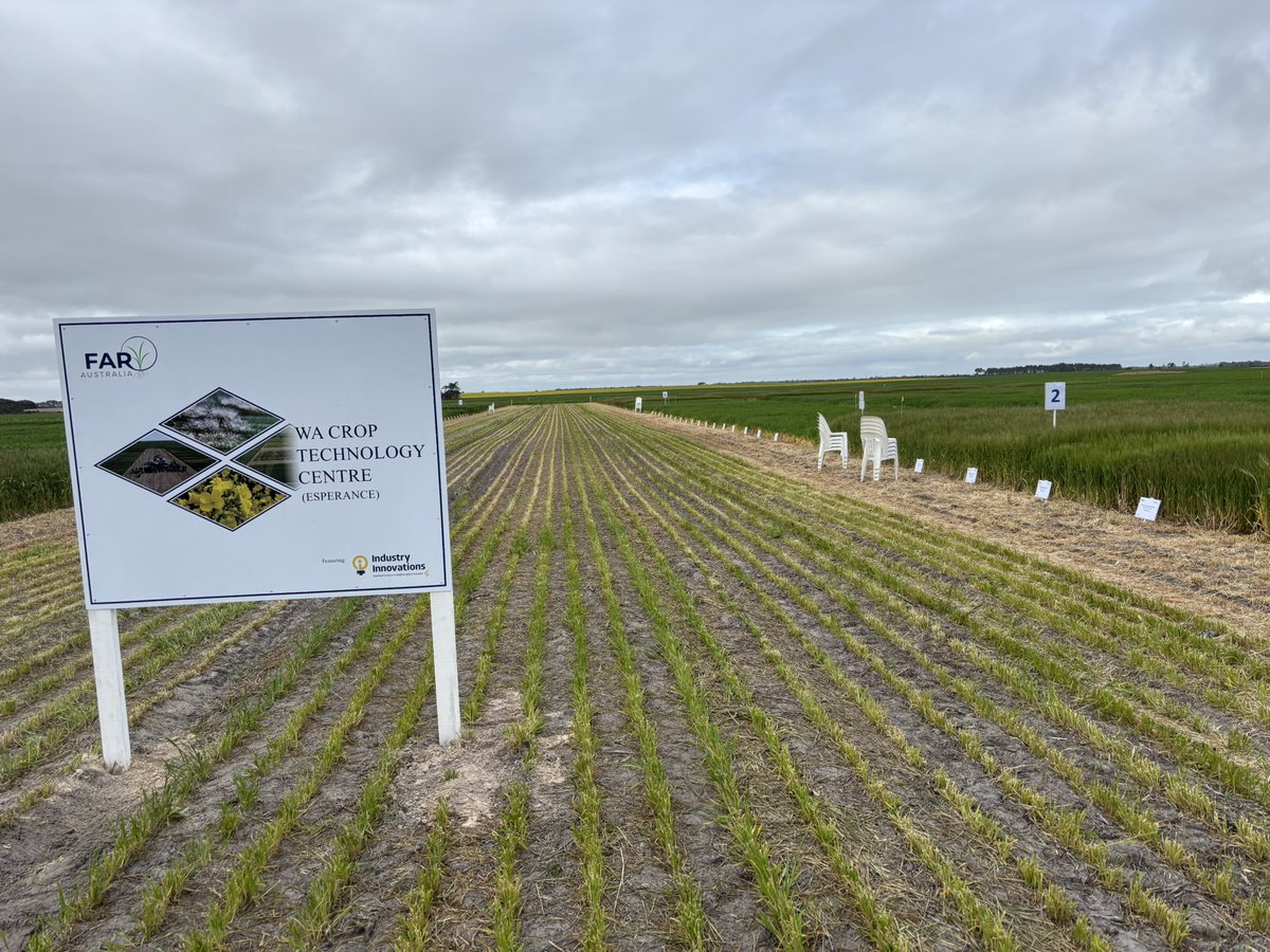 Calling Esperance growers and advisers. Come and join us at the FAR Australia TGIF field day at Neridup tomorrow. Finish the week with FAR Australia! Join us for a relaxing end to the week.
REGISTER HERE: 
faraustralia.com.au/archives/event…