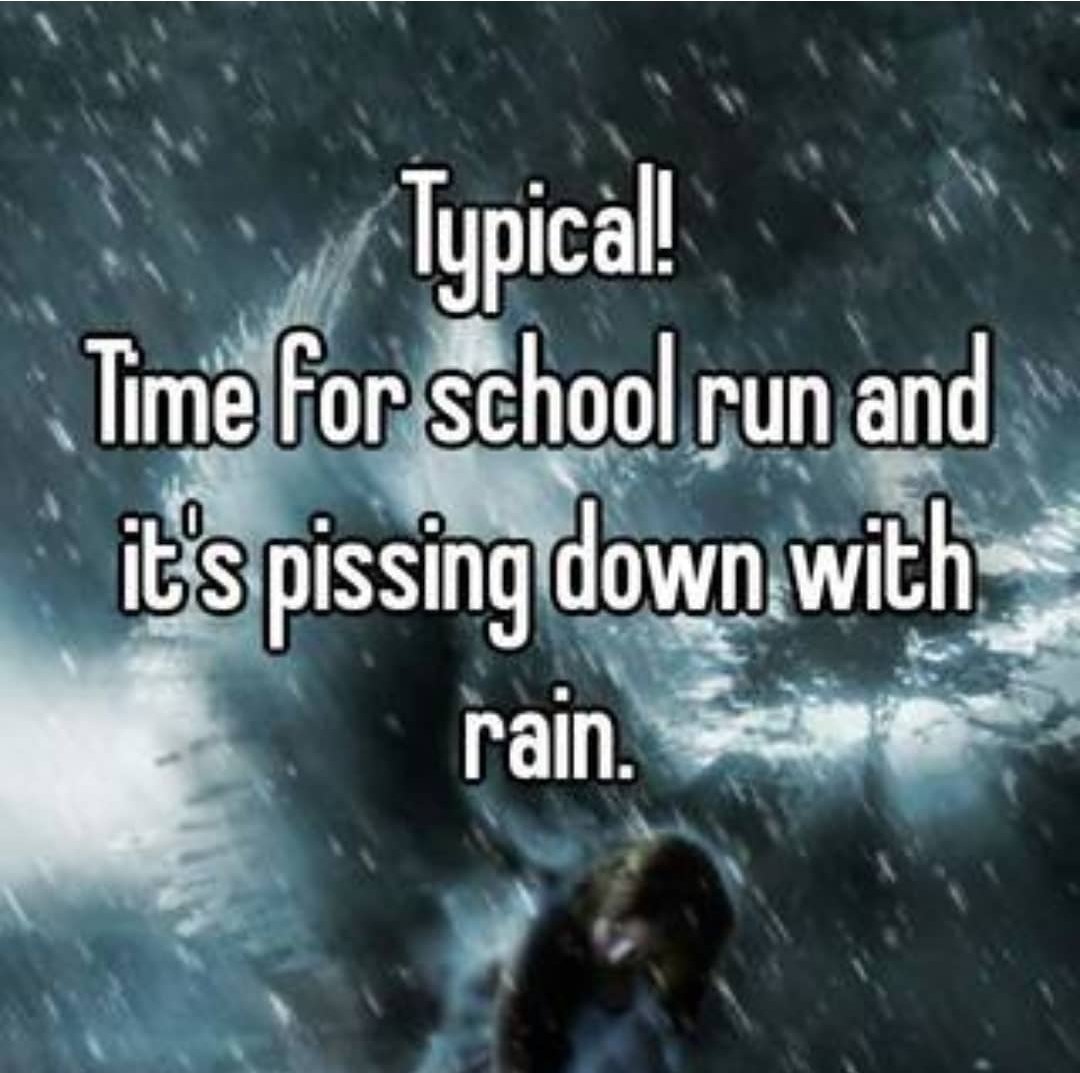 M.G. Vaciago - Author tweet media