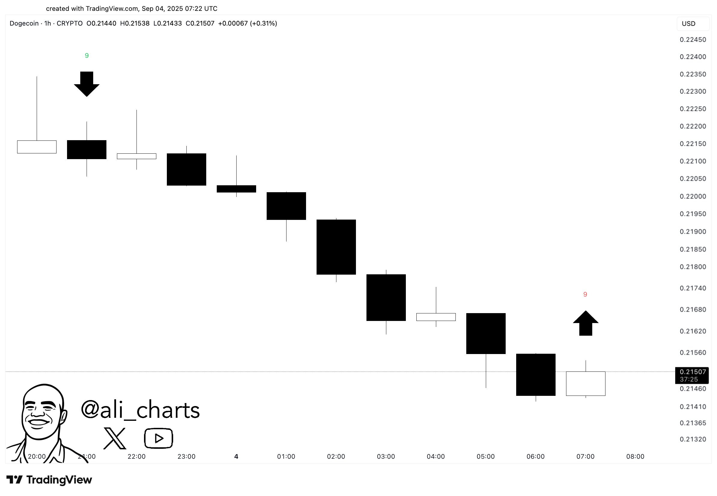 Dogecoin TD Sequential