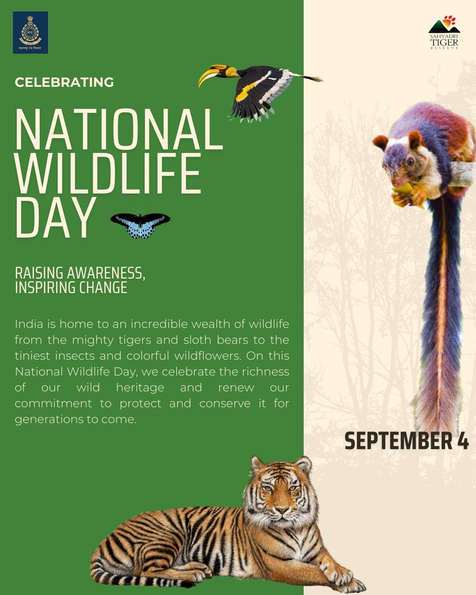 Celebrating National Wildlife Day