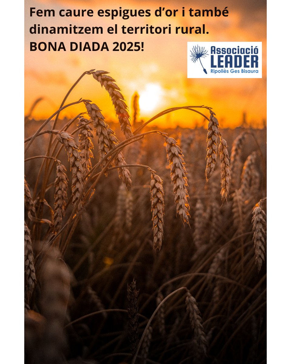 LeaderRGB's tweet image. Des del territori rural del Ripollès, la Vall del Ges i el Bisaura, us desitgem una feliç Diada Nacional a tothom!