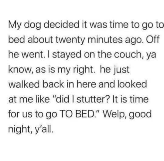 Heckin Good Dogs tweet media