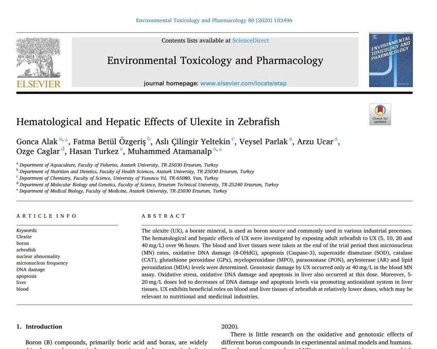 Bor minerallerinin insan sağlığı üzerindeki etkilerini bilimsel olarak 25 yıla yakın bir süredir araştırıyoruz 🔬🧬

Son çalışmamız, ülkemizin dünya rezervlerinde lider olduğu ve ticari önemi bulunan bor türevi kolemanit üzerine. Araştırmamız Environmental and Molecular