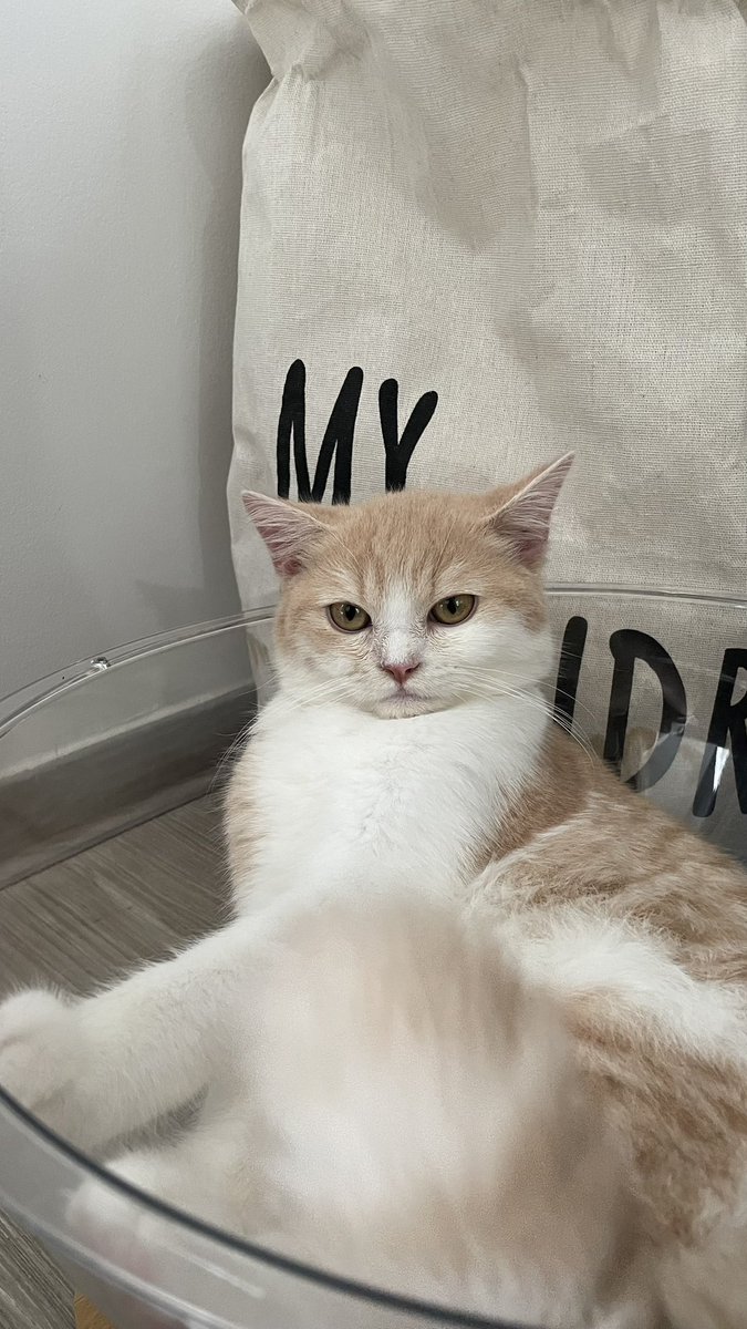 หน้าตาดูไม่ค่อยพอใจเท่าไหร่