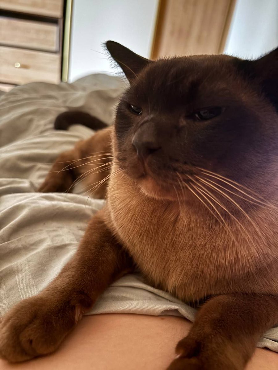 Shiva on ton tweet media