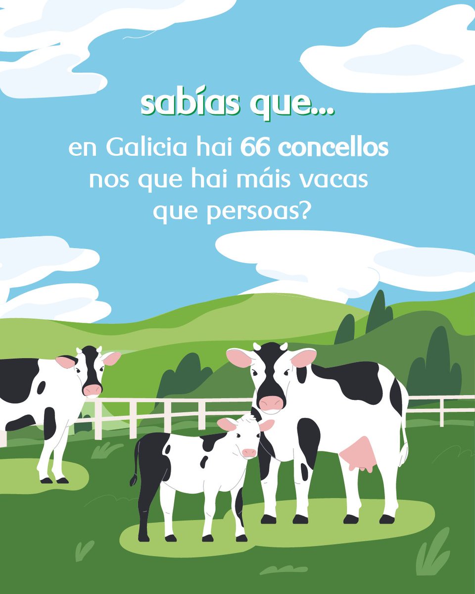 A Pastoriza é o concello con máis vacas censadas. Nin máis nin menos que 15.565.

Pero aí non queda a cousa, porque en Galicia hai máis de 524.000 vacas, case tanto como toda a poboación de Vigo e A Coruña xuntas. 👀 🐮