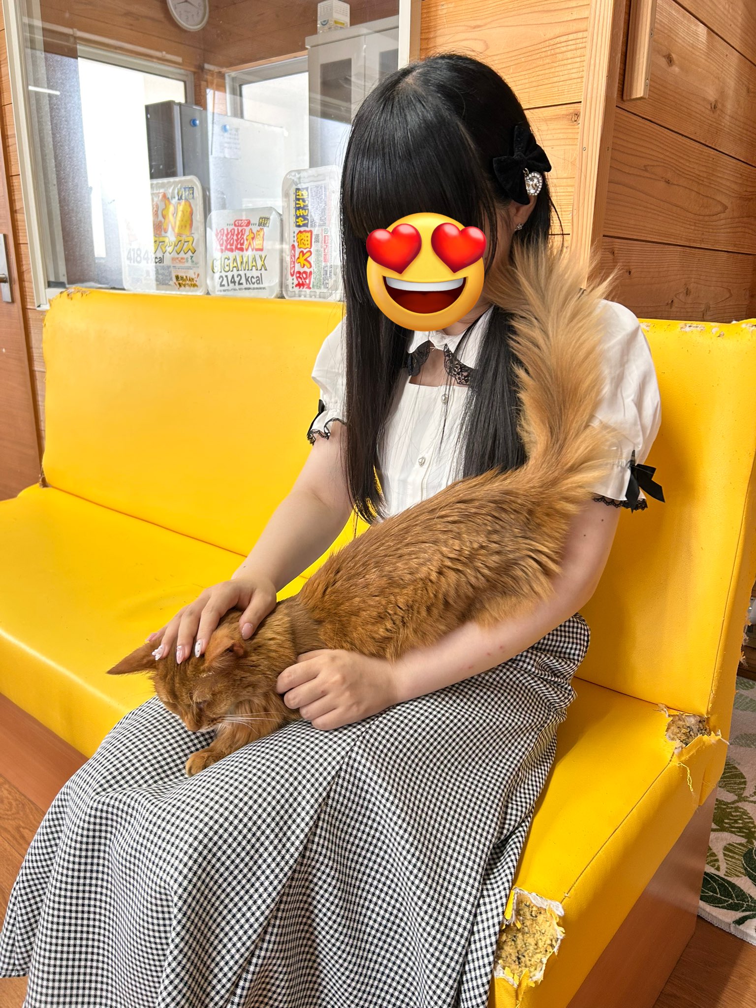 緋猫 on X: 