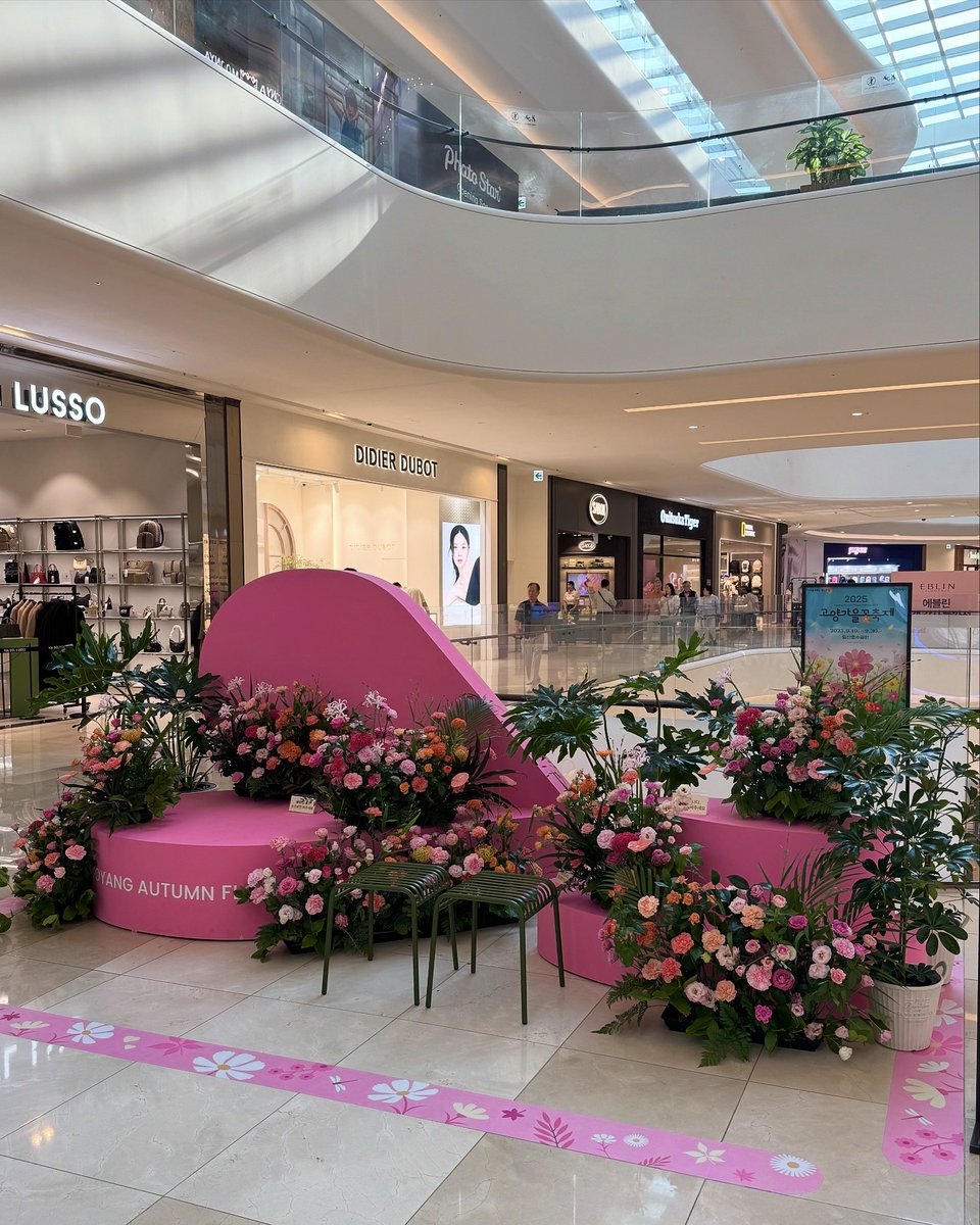 스타필드 고양에 꽃향기가 난대

🌸플라워 팝업스토어
📍 스타필드 고양 1F 고메스트리트 앞
🗓️ 9/1 ~ 9/7 (7일간)🌿 

🪴 분재·다육·소품 등 플랜테리어 아이템 가득!
🎁 매일 선착순 50명 사은품 증정 
📸 생화 포토존에서 인증샷 찰칵!

#팝업스토어 #9월팝업 #플라워팝업스토어