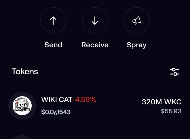 How many $WKC were you able to buy amidst the dip? 🤔

#Wikicat is still sitting at $95M market cap. It's gonna be a crazy ride from here.

gm CT!