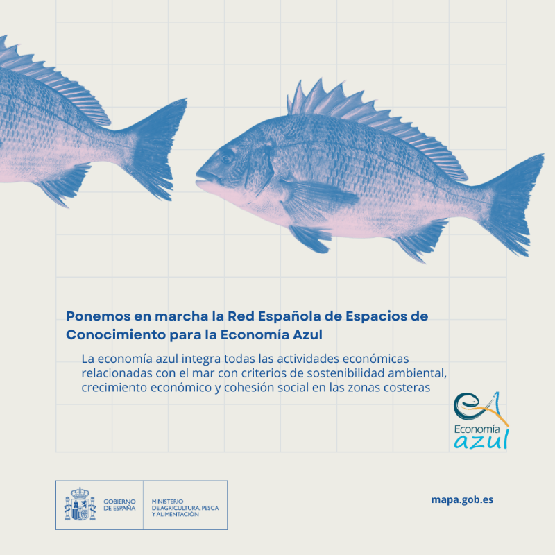 gobmapa's tweet photo. Ponemos en marcha Red Española de Espacios de Conocimiento para la Economía Azul (Reecea)
✅Una iniciativa con la que buscamos impulsar un modelo de desarrollo innovador, inclusivo y sostenible.
Toda la información 🔽