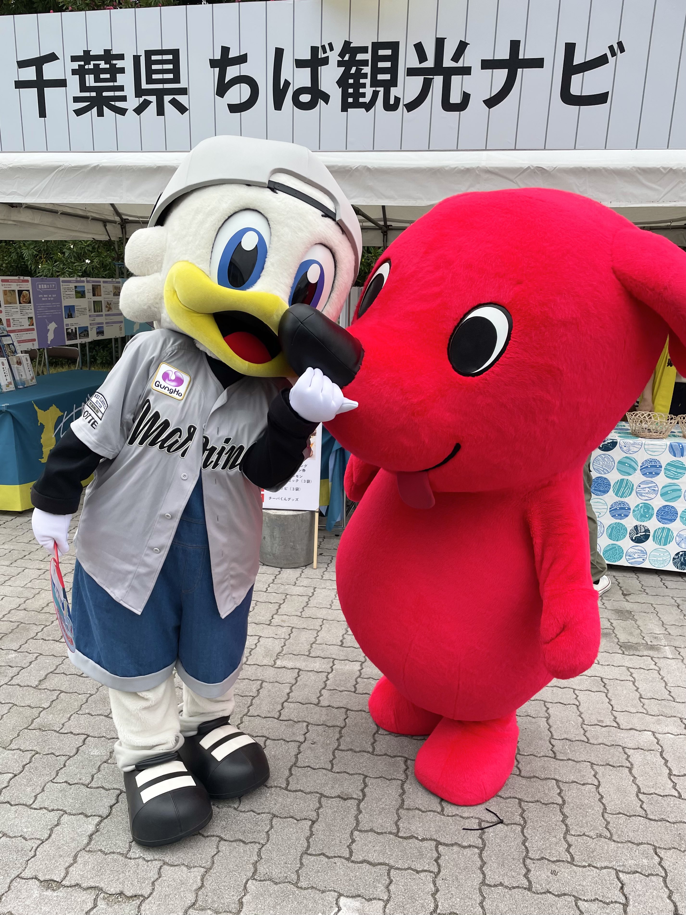 マーくん(千葉ロッテマリーンズ) (@chibalotte_mar) / X