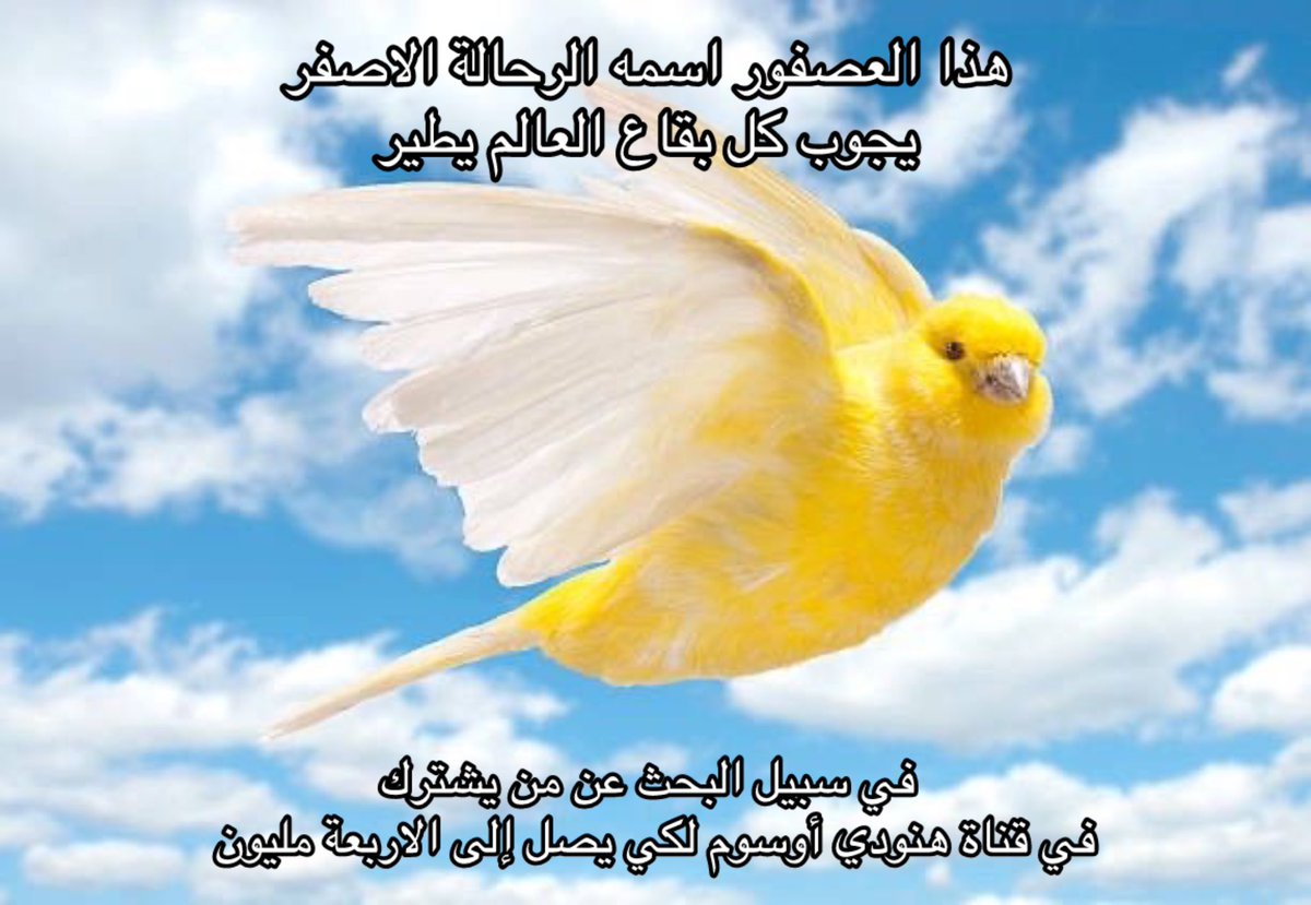 #هنودي_4مليون