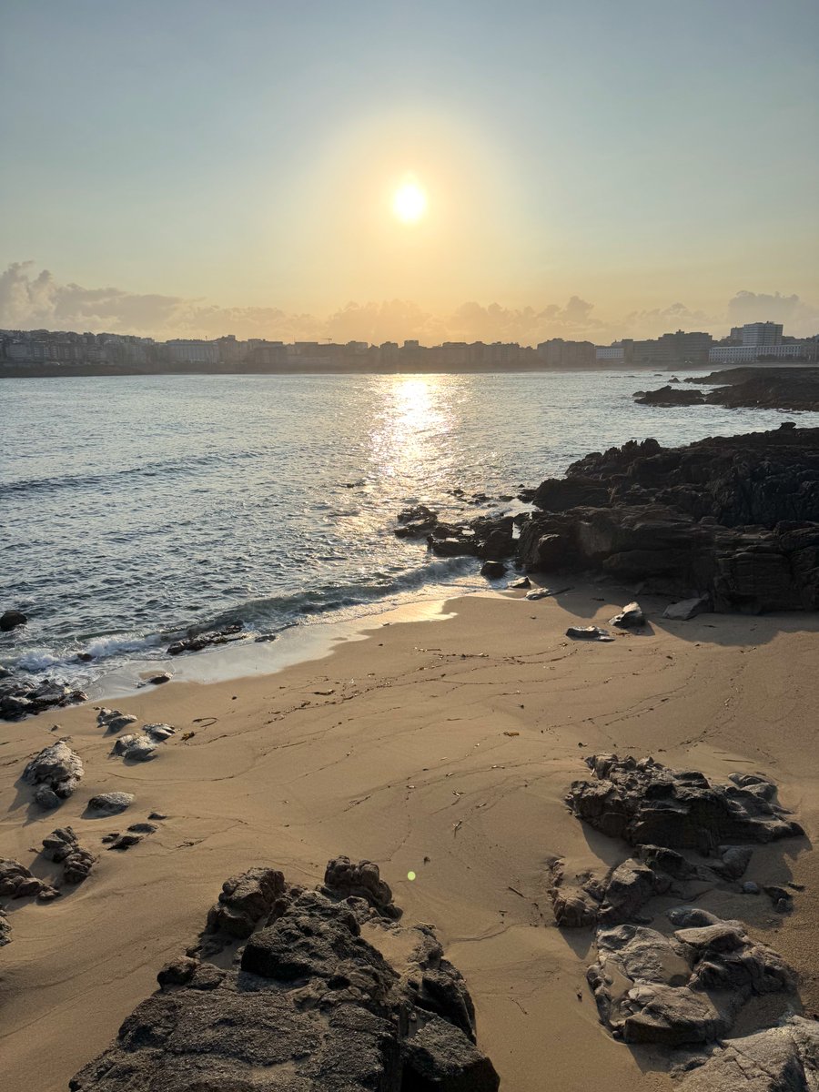 David Pardo tweet media