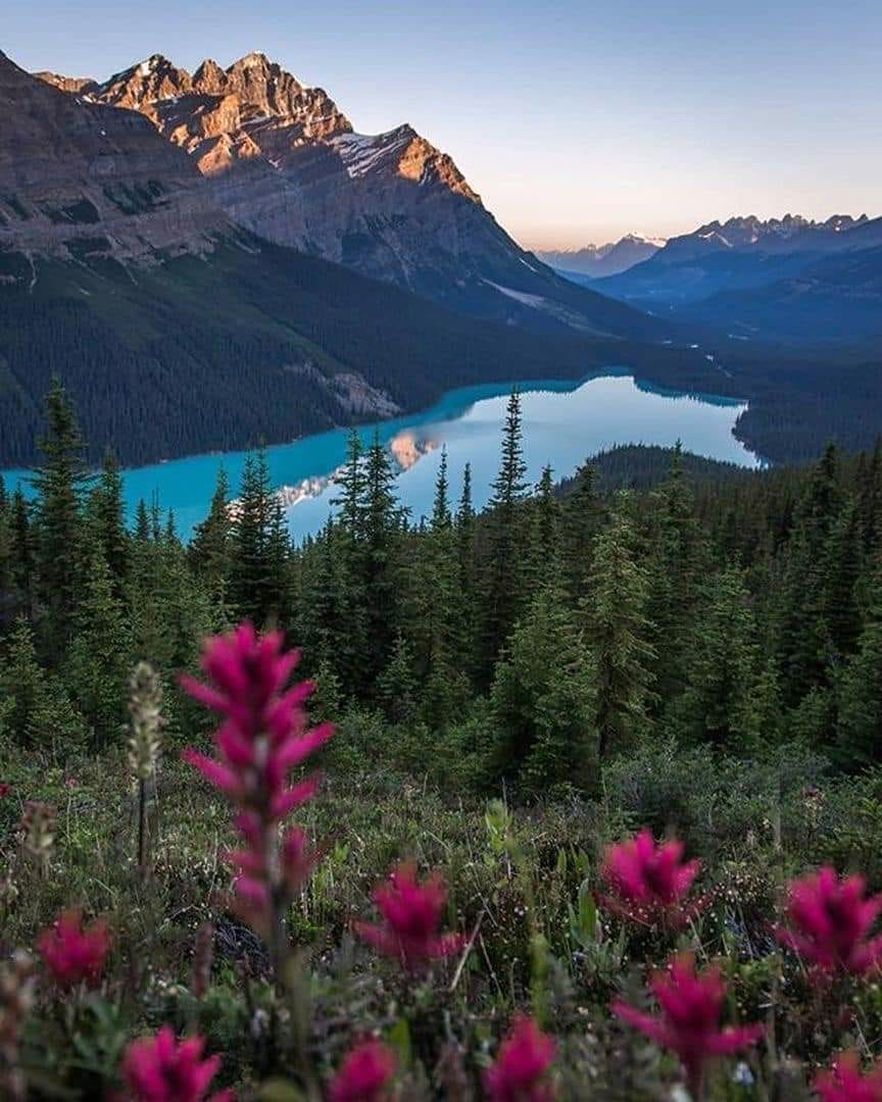 Peyto Lake is a glacier-fed lake in Banff National Park in the Canadian Rockies. The lake itself is near the Icefields Parkway. It was named for Bill Peyto, an early trail guide and trapper in the Banff area.