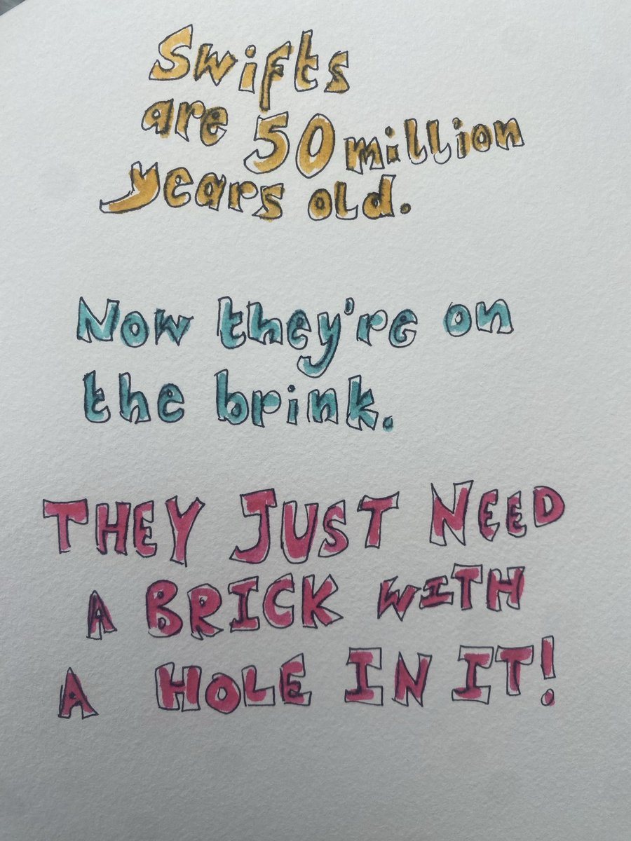 Hannah Bourne-Taylor tweet media