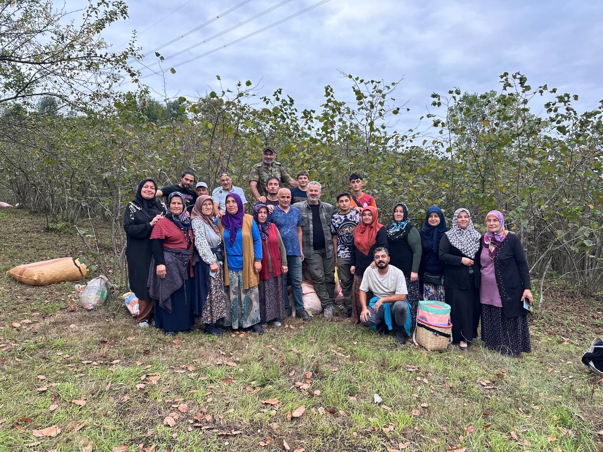 Gözlerimi açtığımda fındık harmanında görmüşüm kendimi; düştüğümde, ayağa fındık dalına tutunarak kalkmışım. Koşmayı, oyunlar oynamayı fındık bahçelerinde, çortların-ocakların arasında  öğrendim. 

Yolları dar ve engebeli bahçelerimizde atımızla fındık taşımışlığım çoktur.