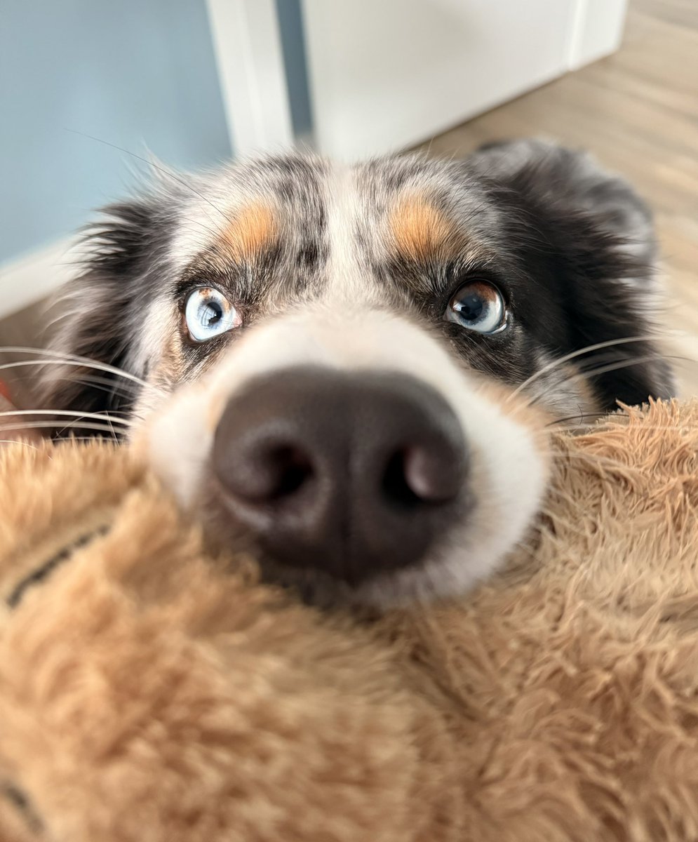 В вас тычут игрушкой, ваши действия?