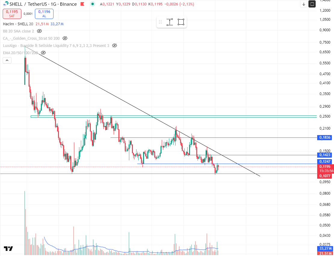 #shellusdt. Takip edilebilir.