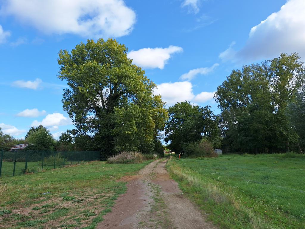 Susanne Verberk tweet media