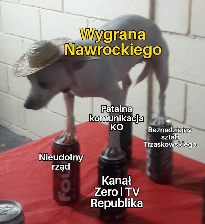 Amos tweet media