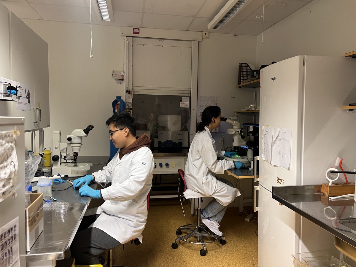 projectaladdin's tweet image. The 1st day of our meeting ended with a tour of the @liu_universitet zebrafish facility &amp;amp; PI Lasse Jensen&apos;s lab. 🐠 

During the second day, we will focus on...

🔹 Communication, dissemination &amp;amp; exploitation (@ZirkaInnotech)
🔹 Coordination (@CNB_CSIC) 

#EICPathfinder @EUeic