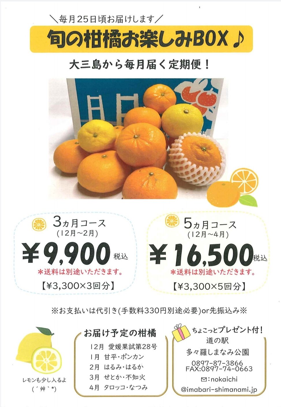 シズク　みかん みかんサイダー（みかん農園サイダー）和歌山県産みかん果汁51