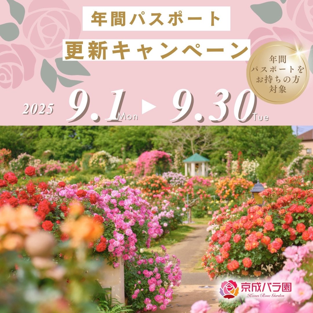 京成バラ園【公式】 on X
