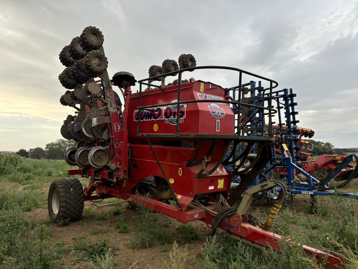 Will Kealey tweet media